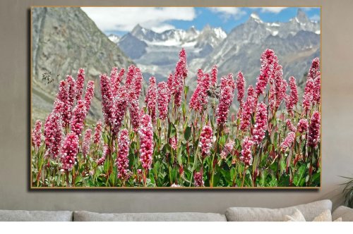Top Floral Art Themes for Modern Homes