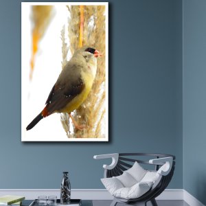 Avadavat Artistry: Captivating Canvas Featuring Exquisite Munia Bird - A Must-Have for Nature Lovers! Premium Canvas Wildlife Art | Wall Art | Painting | Large Size | 48 inch x 30 inch or 4 feet x 2.5 feet | Orientation - Portrait