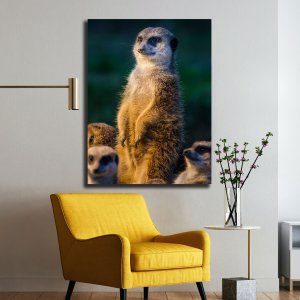 Innocence in Vigil - The Meerkat's Watchful Guard | Wildlife Canvas Art | Wall Art | Painting | Size | 24 inch x 18 inch or 2 feet x 1.5 feet | Orientation - Portrait