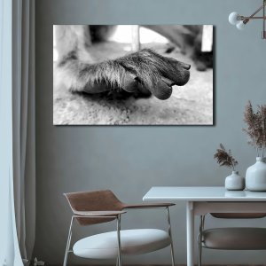 Elegance Unveiled | Graceful Beauty of Ape's Feet | Premium Canvas Art | Wildlife Wall Art | Large Size | 48 inch x 30 inch or 4 feet x 2.5 feet | Orientation - Landscape