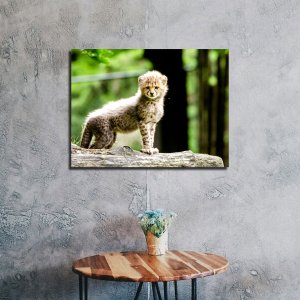 Grace in Waiting - Baby Cheetah Standing Tall | Wildlife Canvas Art | Wall Art | Painting | Size | 24 inch x 18 inch or 2 feet x 1.5 feet | Orientation - Landscape