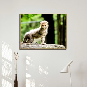 Grace in Waiting - Baby Cheetah Standing Tall | Wildlife Canvas Art | Wall Art | Painting | Size | 24 inch x 18 inch or 2 feet x 1.5 feet | Orientation - Landscape
