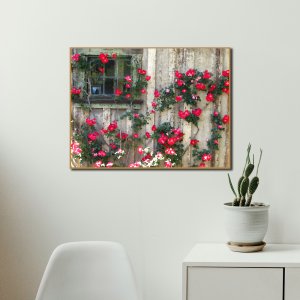 Wall of Blossoms - Red Flowers blooming the Cottage |  Premium Canvas Art | Wall Art | Painting | Oil Painting Style Print | Size | 24 inch x 18 inch or 2 feet x 1.5 feet | Orientation - Landscape