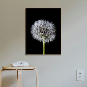Whispers of the Wind - The Delicate Beauty of a Dandelion | Premium Canvas Art | Wall Art | Painting | Size - 24 inch x 18 inch or 2 feet x 1.5 feet | Orientation - Portrait