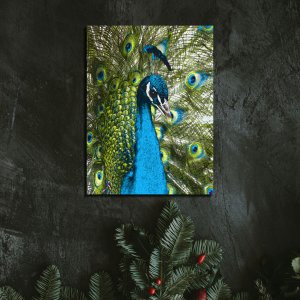 Royal Elegance - The Magnificent Splendor of the Peacock | Wildlife Canvas Art | Wall Art | Painting | Size | 24 inch x 18 inch or 2 feet x 1.5 feet | Orientation - Portrait