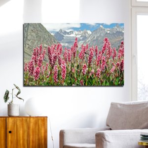 Alpine Flower Bloom | Premium Canvas Nature Art | Beautiful Pink Flowers with Majestic Mountain Backdrop | Wall Art | Large Size | 48 inch x 30 inch or 4 feet x 2.5 feet | Orientation - Landscape